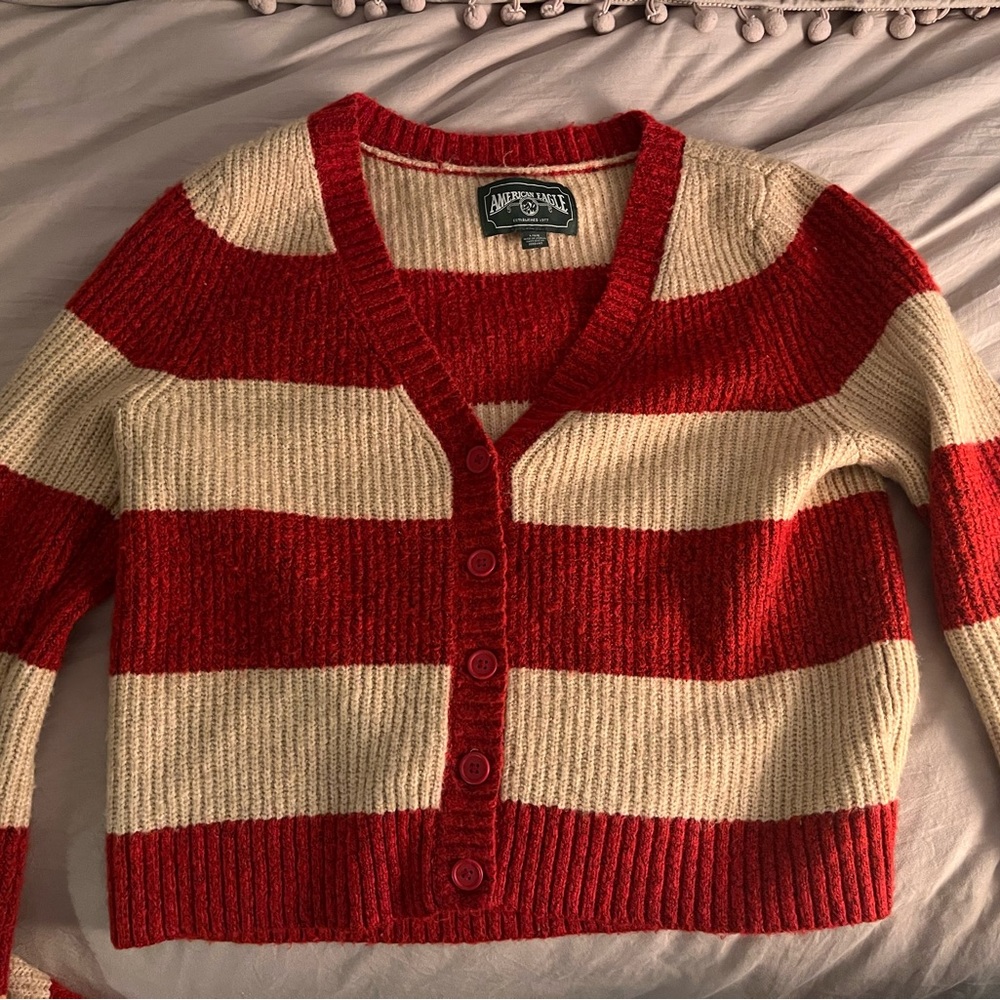 American Eagle Outfitters chunky cardigan / sweater